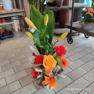 IMG_20260820_121601